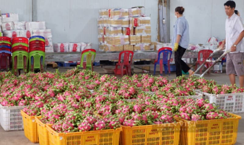 images/1692778281400Fruta kirin ecuatoriana.jpg